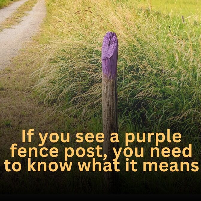 If you see a purple fence post, you need to know what it means