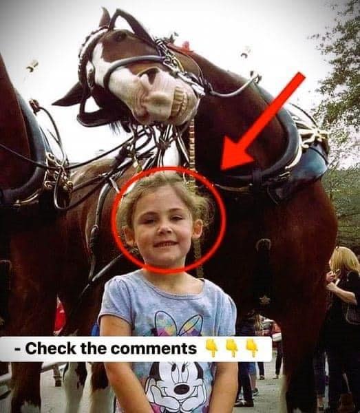 Next to a horse, the father snaps a photo of his daughter. Upon deeper examination, he finds something that shocks him.
