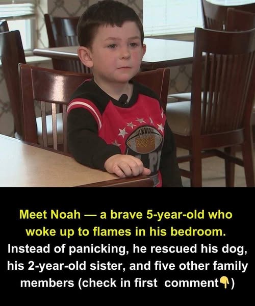 5-year-old courageously carries sister out of burning home, then rushes back to help other family members.