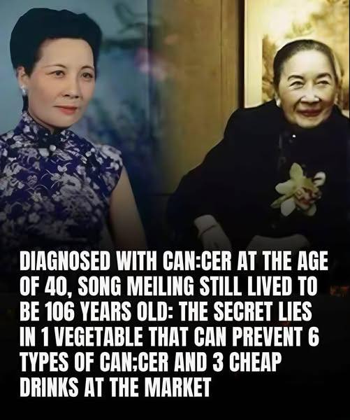 A legacy of health: Soong Mei-ling – longevity and fight against canncer