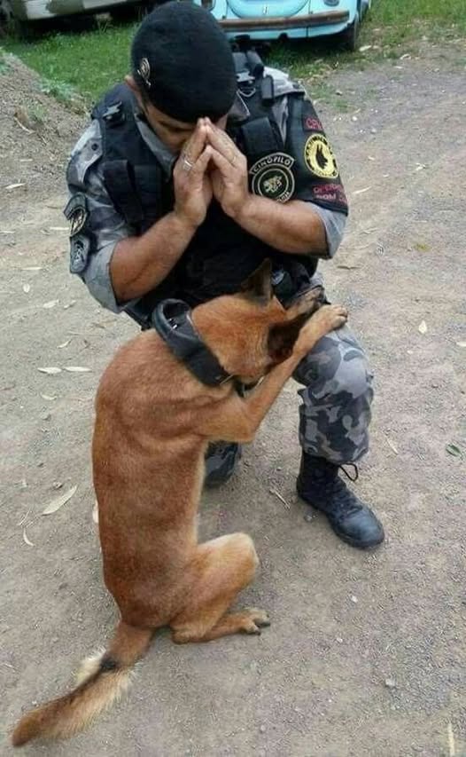 A STRANGER SNAPPED A PHOTO OF ME PRAYING WITH MY DOG, NOW THE WORLD THINKS THEY KNOW MY STORY