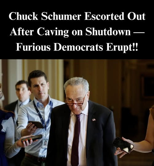 Schumer Faces Democratic Fury After Government Shutdown Deal