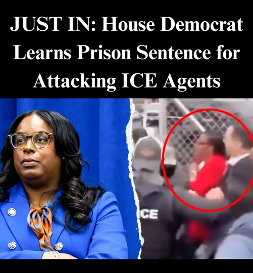 Big Update in Case On House Democrat Charged With Striking ICE Agent